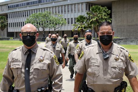 brown police uniform pants.